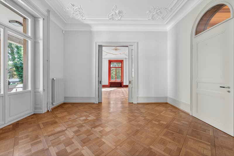 Projektankündigung: Villa Rosenbühl - historisch. stilvoll. zentral. (5)