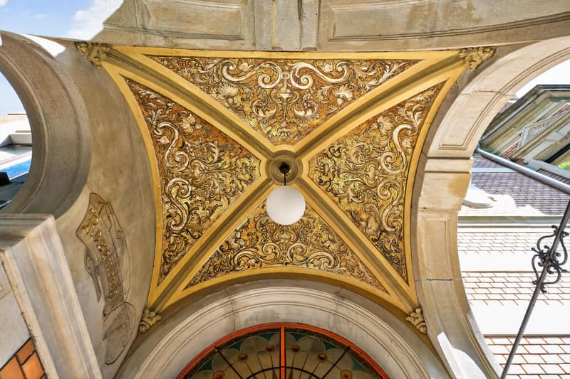Projektankündigung: Villa Rosenbühl - historisch. stilvoll. zentral. (3)