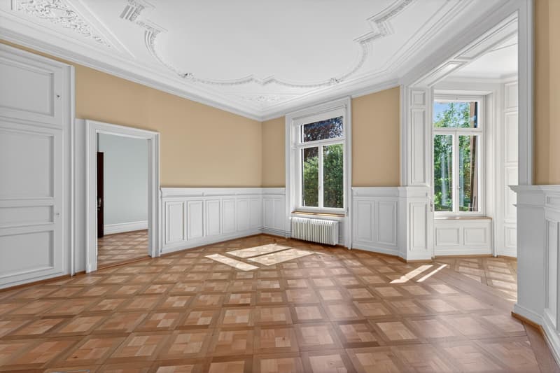 Projektankündigung: Villa Rosenbühl - historisch. stilvoll. zentral. (6)