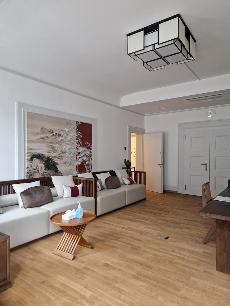 Büro- oder Praxisfläche am Bellevue  stilvoll an bester Lage (2)