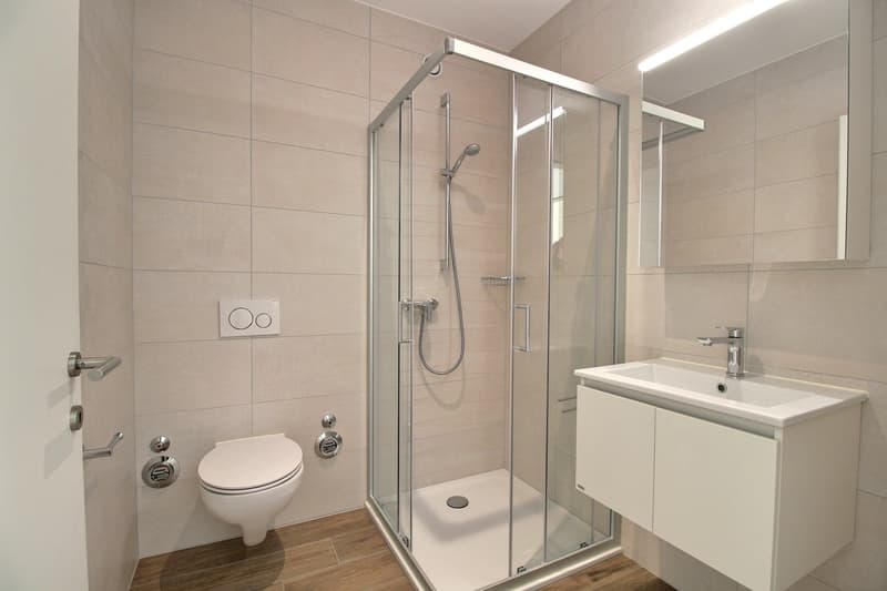 Appartement de 5.5 pièces au rez-de-chaussée à louer à Marly ! (10)