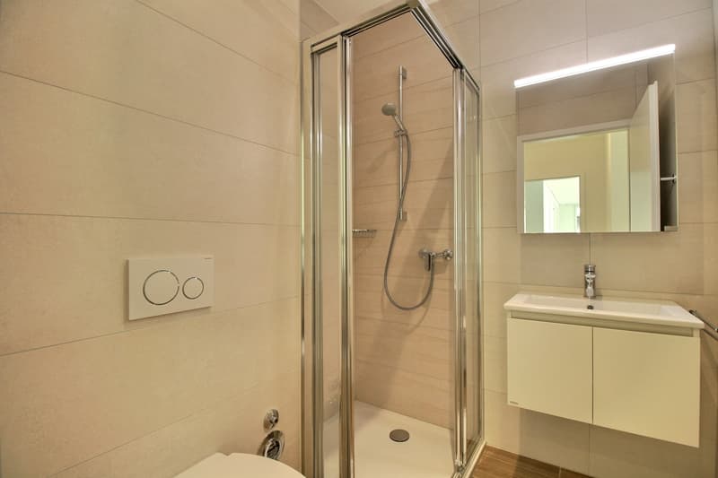 Salle de douche (parentale)