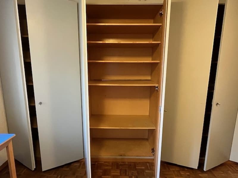 Wooden cupboard with shelves and a door