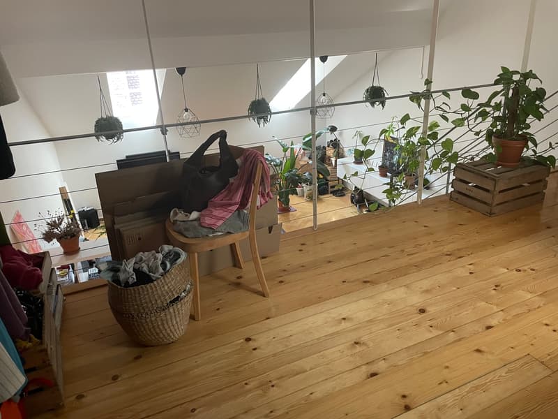 2.5-Zimmer-Triplex-Bijou (11)