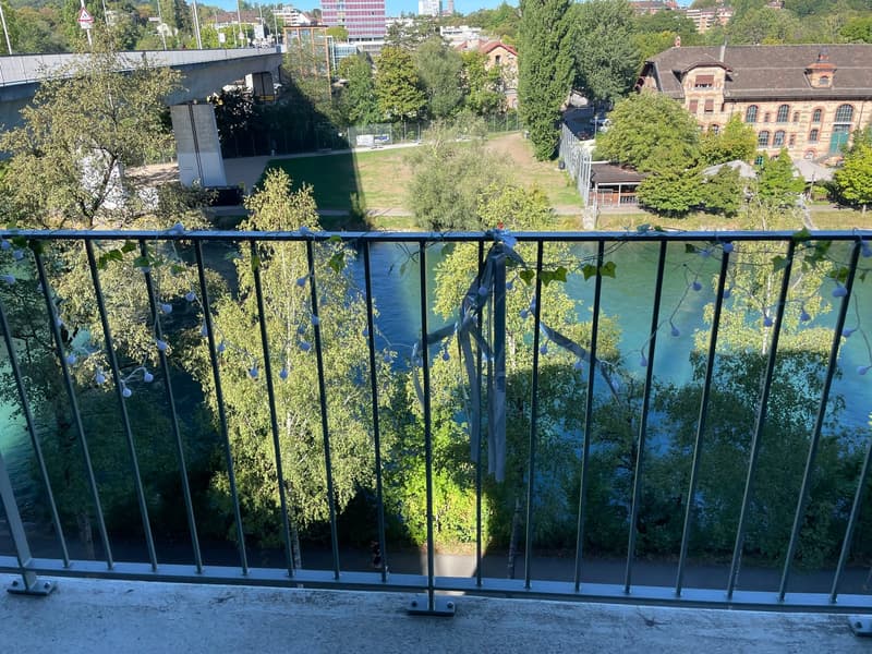 Charmante 3.5-Zimmer-Wohnung am Dalmaziquai in Bern (7)