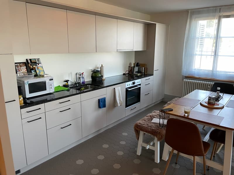 Charmante 3.5-Zimmer-Wohnung am Dalmaziquai in Bern (2)