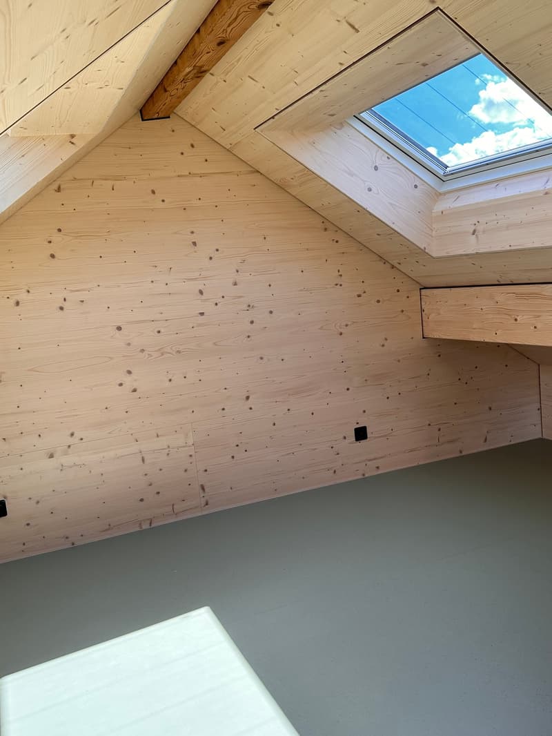 Neue 1-Zimmer-Loftwohnung (4)