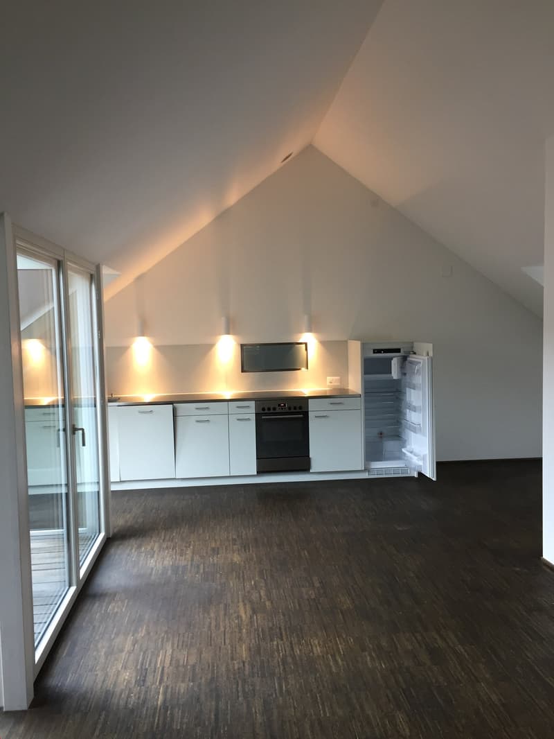 Aussergewöhnliche Dachwohnung mit Balkon (2)