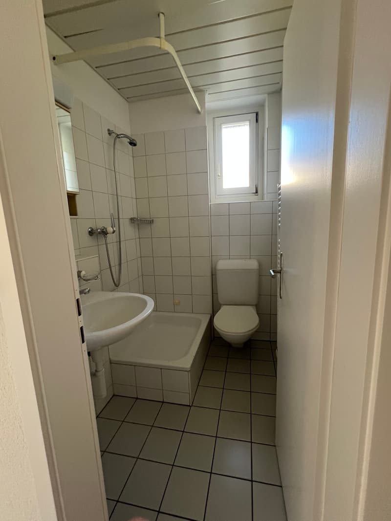Gemütliche 1-Zimmer-Wohnung mit Vermietungskriterien zu vermieten (8)