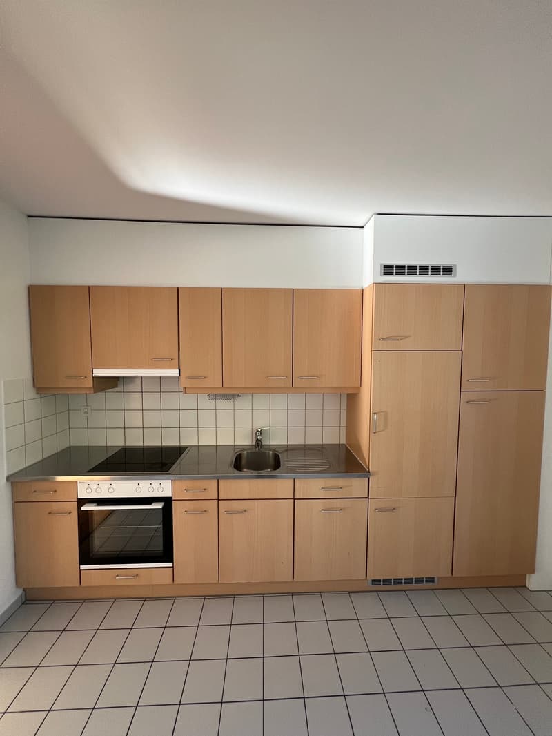 Gemütliche 1-Zimmer-Wohnung mit Vermietungskriterien zu vermieten (3)