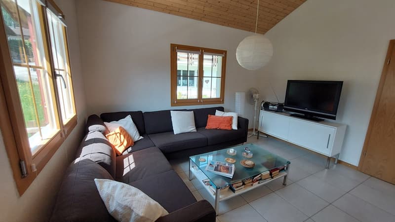 grosszügiges Wohnzimmer