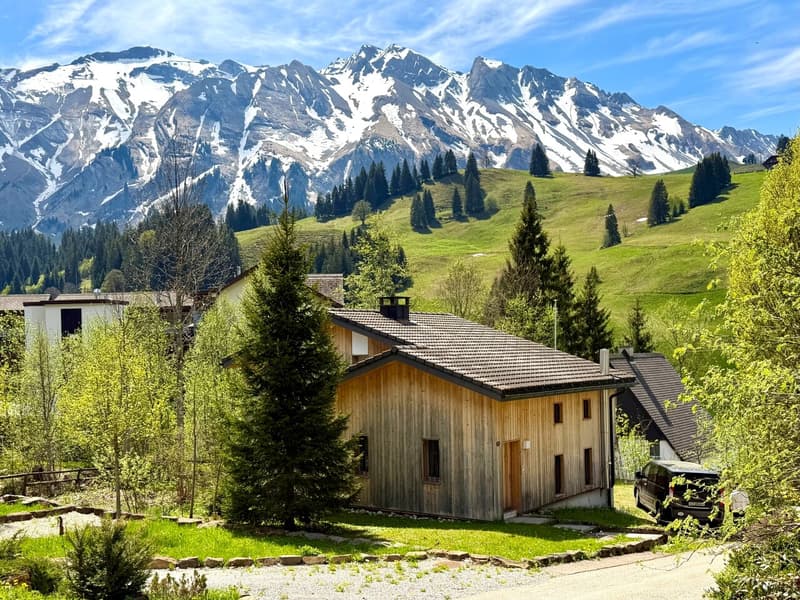 einmalige Bergpanoramasicht