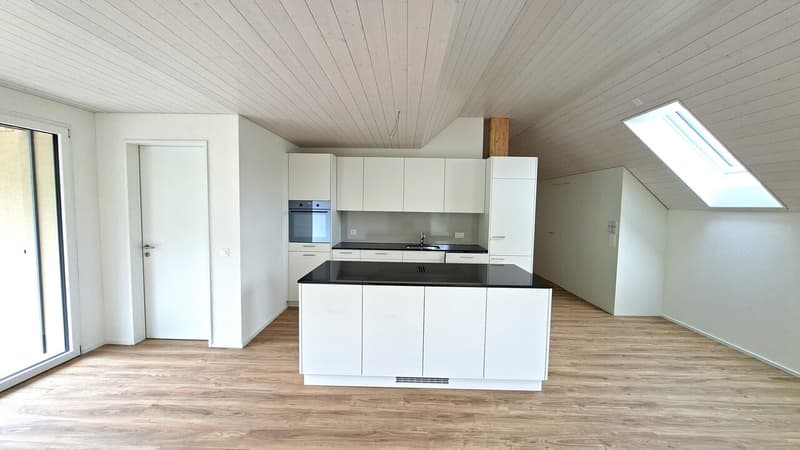 moderne Küche