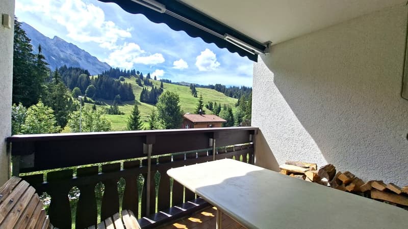 windgeschützter Balkon mit direktem Zugang vom Wohnzimmer