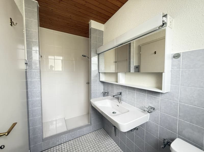 Tolle Attika-Wohnung mit grosser Terrasse und Weitsicht (11)