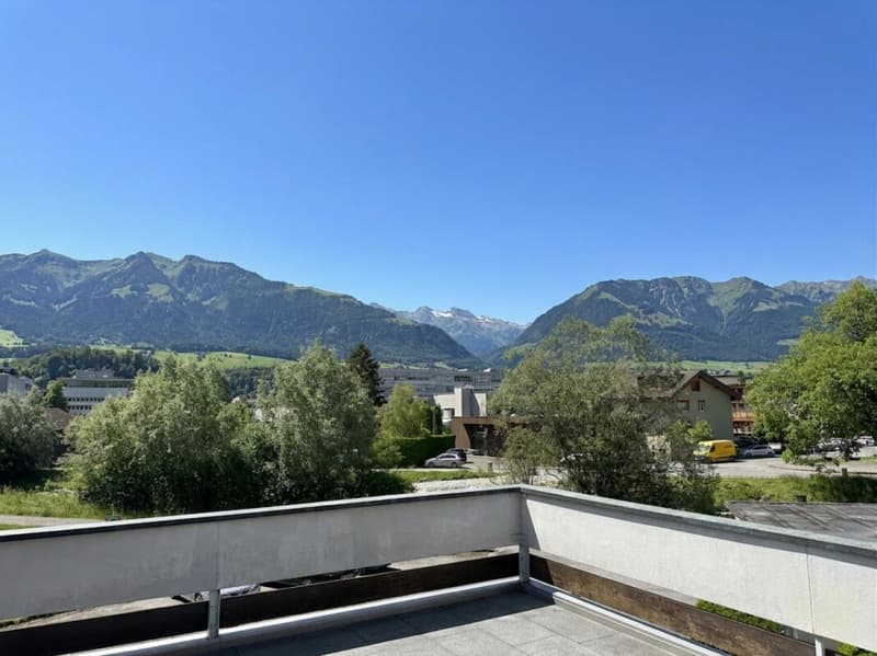 Tolle Attika-Wohnung mit grosser Terrasse und Weitsicht (3)
