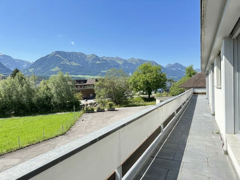 Tolle Attika-Wohnung mit grosser Terrasse und Weitsicht (4)