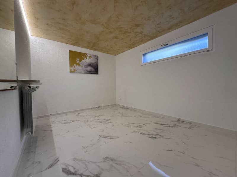 Maison individuelle avec possibilité d'activité indépendante et grande terrasse (17)