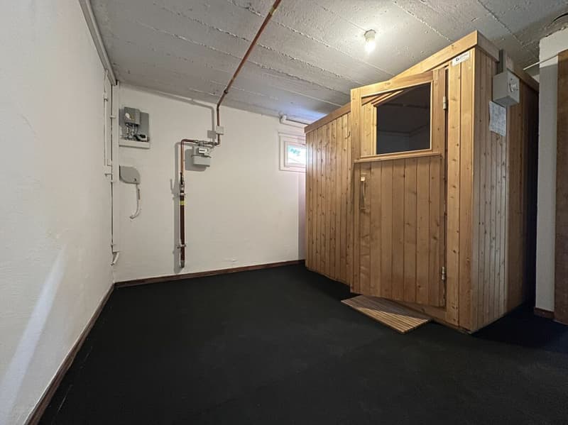 Maison individuelle avec possibilité d'activité indépendante et grande terrasse (15)