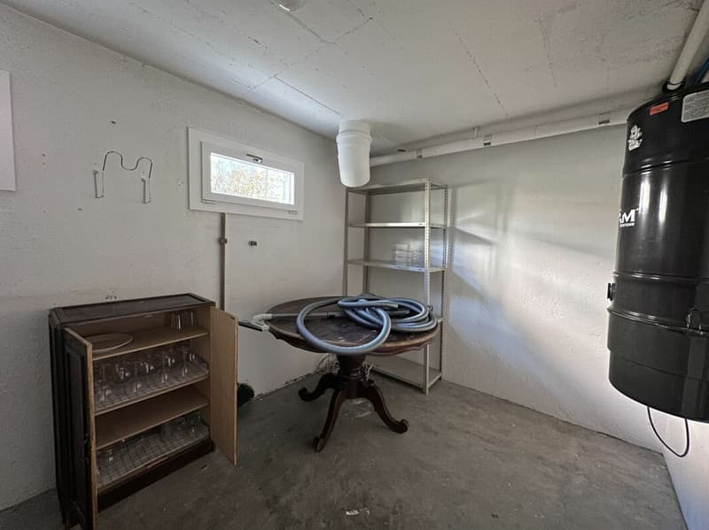 Maison individuelle avec possibilité d'activité indépendante et grande terrasse (16)