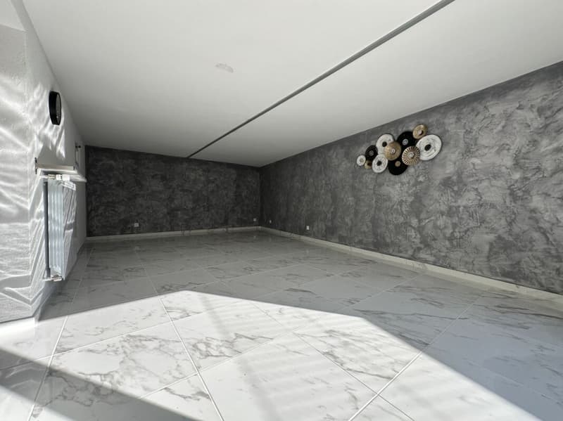 Maison individuelle avec possibilité d'activité indépendante et grande terrasse (21)