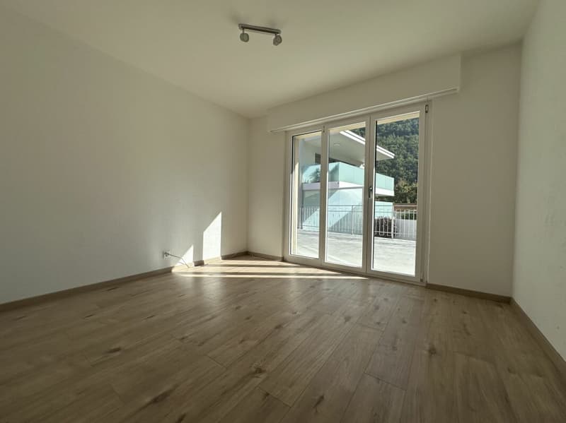 Maison individuelle avec possibilité d'activité indépendante et grande terrasse (9)