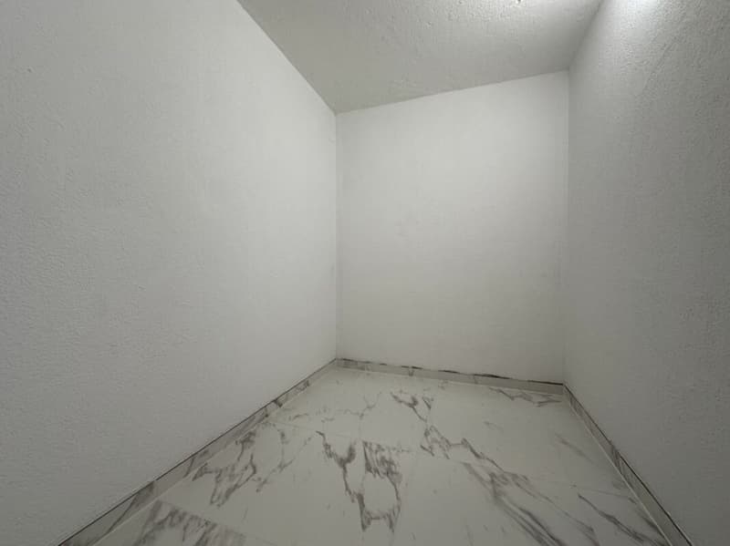 Maison individuelle avec possibilité d'activité indépendante et grande terrasse (14)