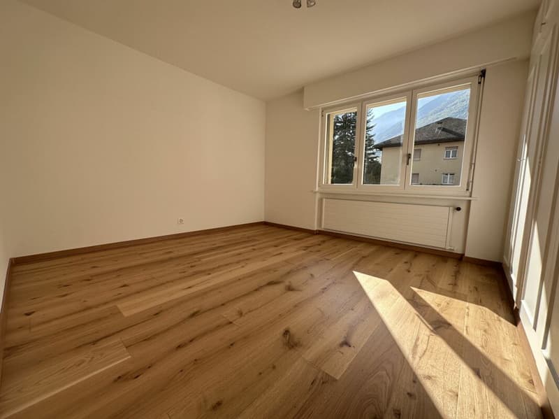 Maison individuelle avec possibilité d'activité indépendante et grande terrasse (6)