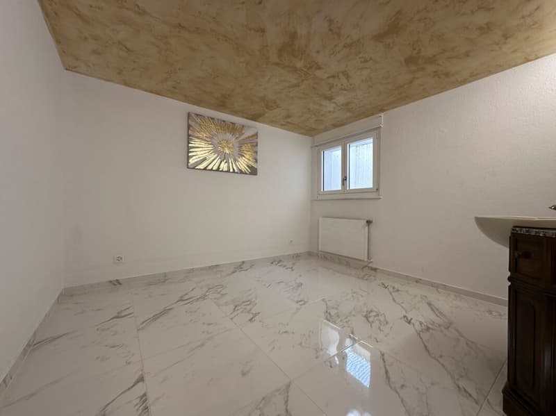 Maison individuelle avec possibilité d'activité indépendante et grande terrasse (18)