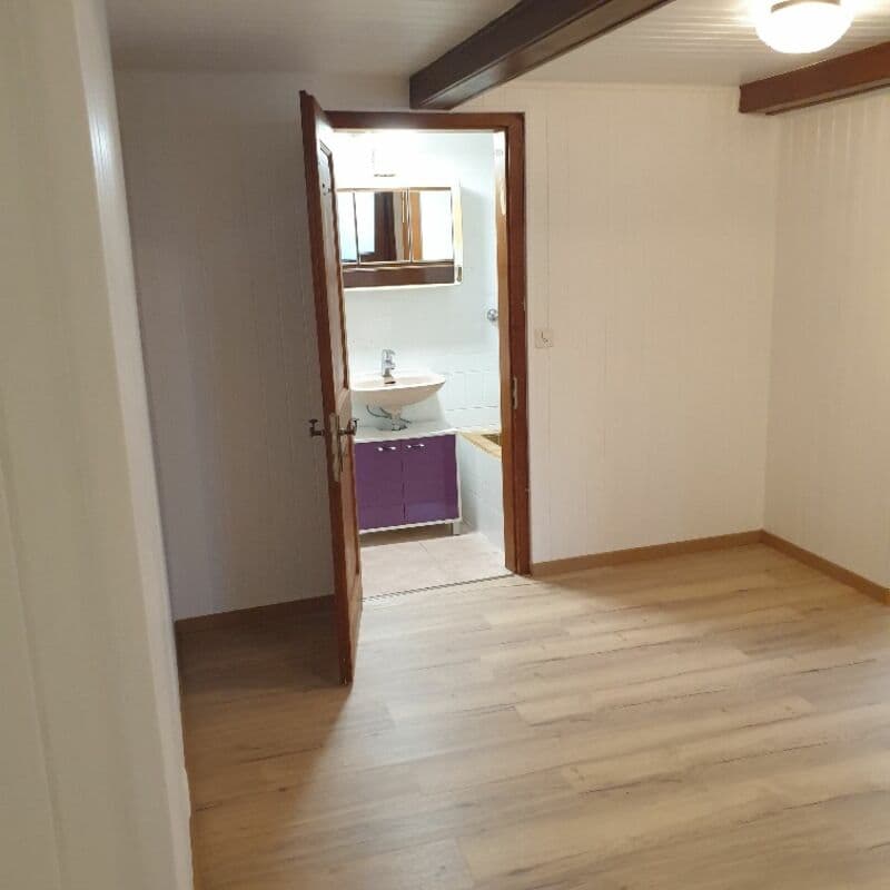 Chalet de 3 appartements idéal pour du rendement (7)