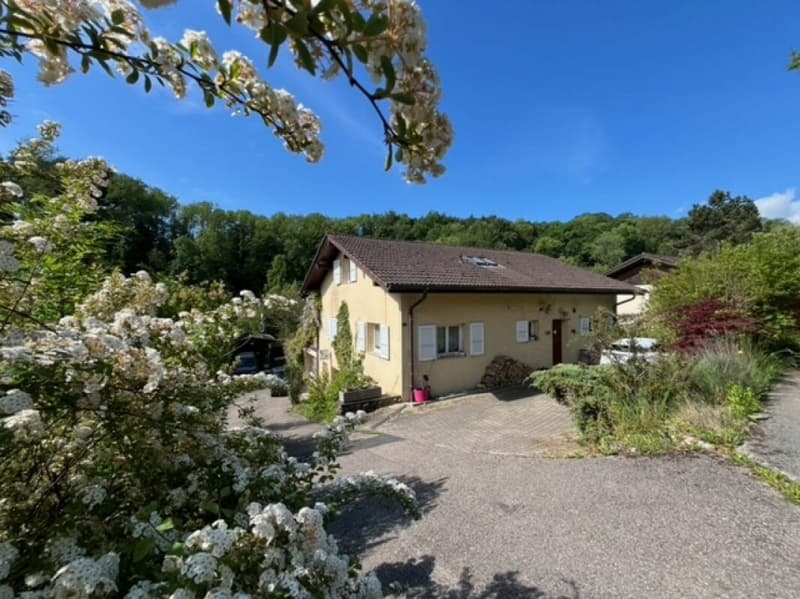 Magnifique villa avec piscine à Valeyres-sous-Montagny (11)