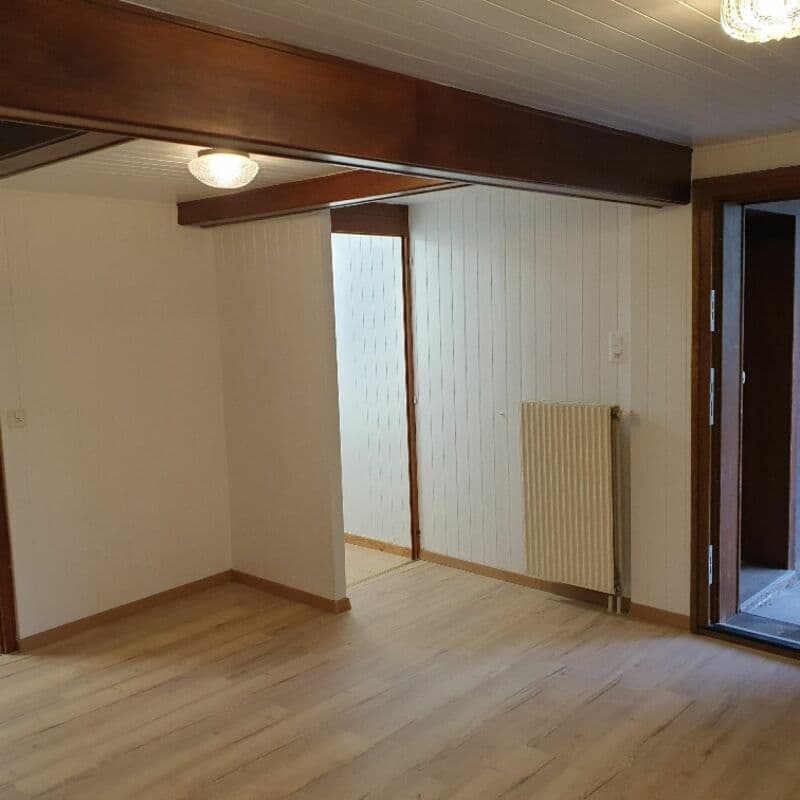 Chalet de 3 appartements idéal pour du rendement ! (8)