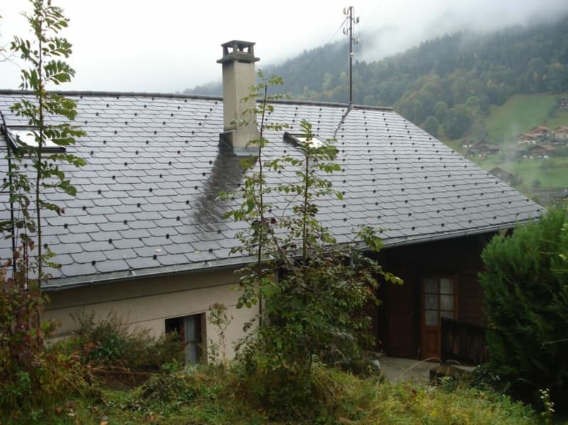 Chalet de 3 appartements idéal pour du rendement ! (3)