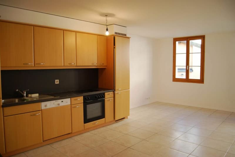 Immeuble de rendement à St-Maurice (4)