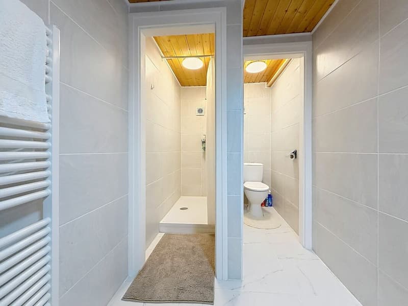 Auberge de 16 chambres avec bar à louer sur Morgins (8)
