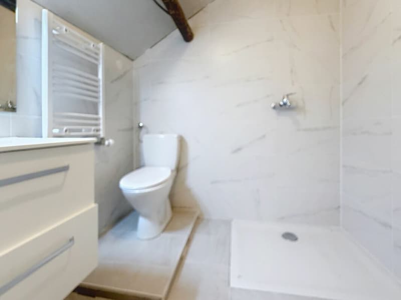 Auberge de 16 chambres avec bar à louer sur Morgins (14)