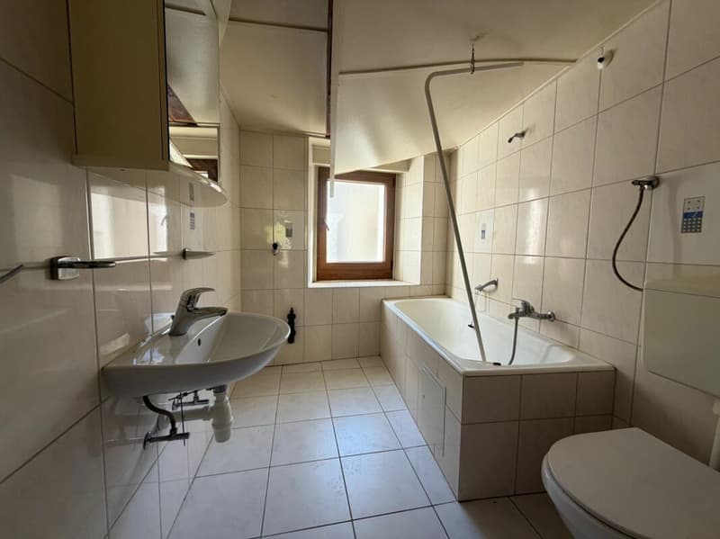 Appartement en duplex de 3 pièces (6)
