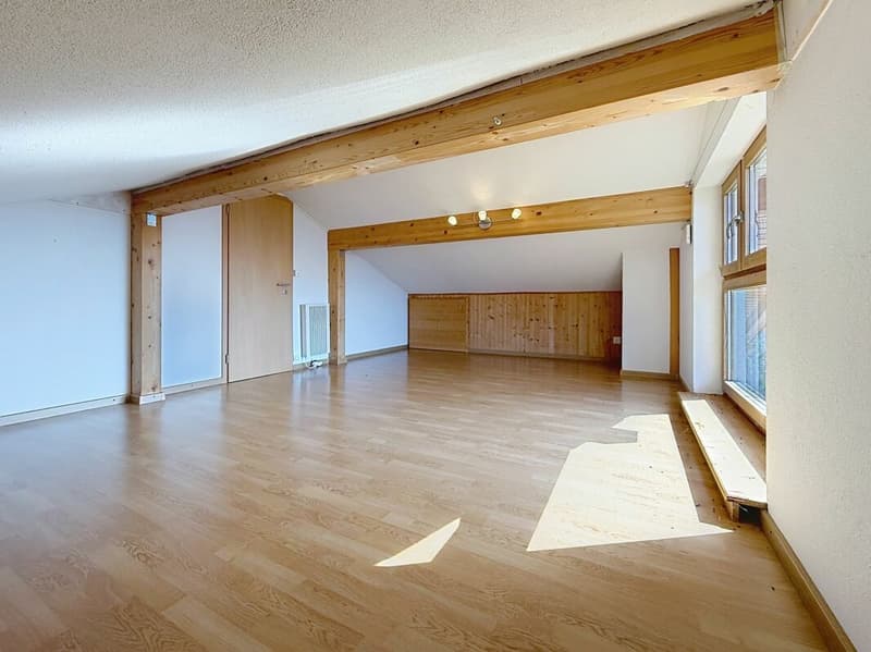 Magnifique villa d'architecte avec spectaculaire vue panoramique sur la plaine et les Dents-du-Midi (14)