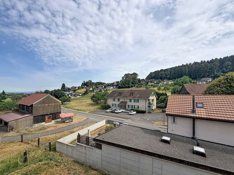 Appartement de 4,5 pièces à Châtillon (12)