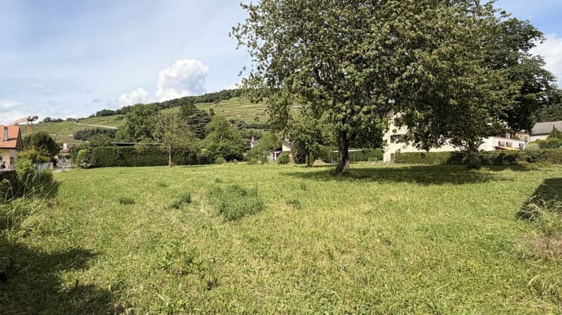 Terrain avec projet à vendre à Bex (2)