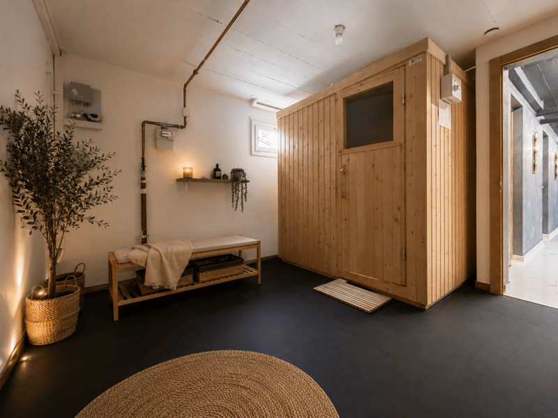 Maison individuelle avec possibilité d'activité indépendante et grande terrasse (14)