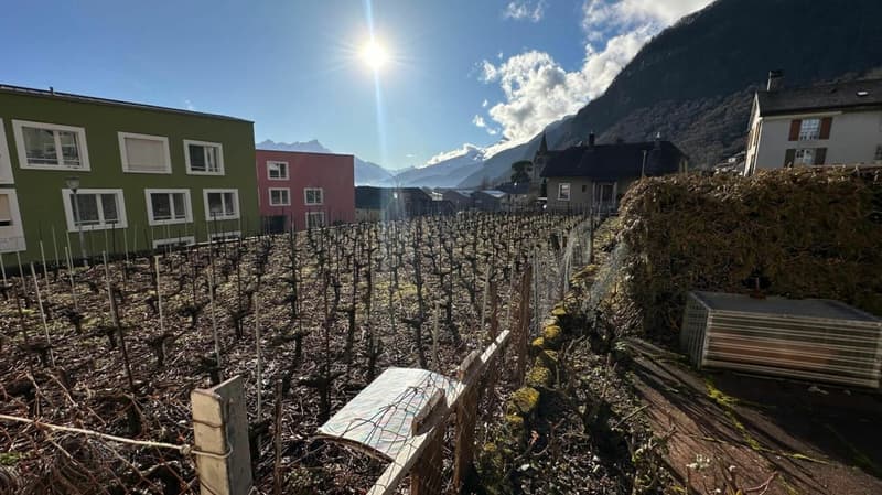 Immeuble locatif à Vouvry (10)