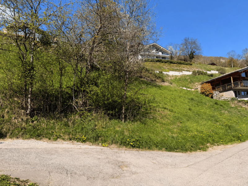 Vue gauche