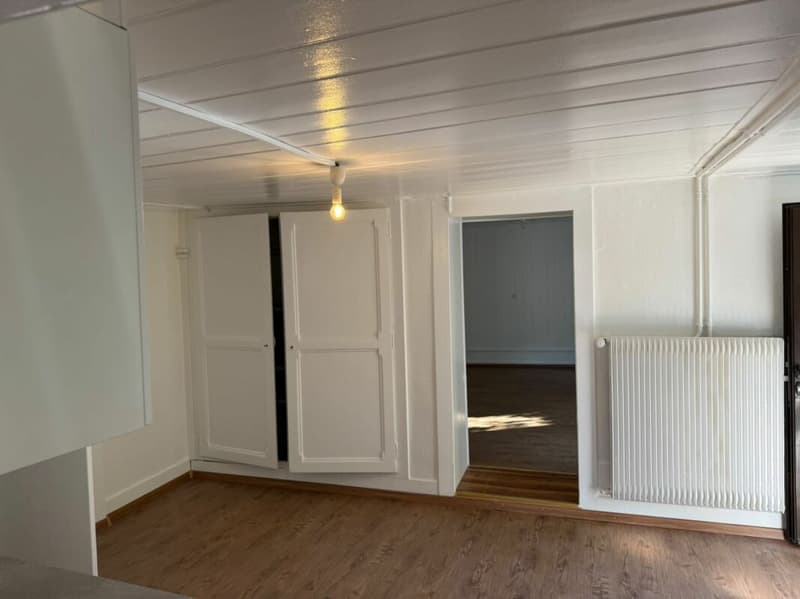 Appartement en duplex de 3 pièces copie (3)