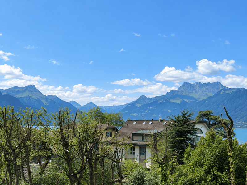 Appartement de 3,5 pièces 100m2 centre Vevey vue lac et montagnes (1)