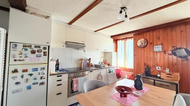 Appartement de 2,5 pièces en duplex avec grande terrasse (3)