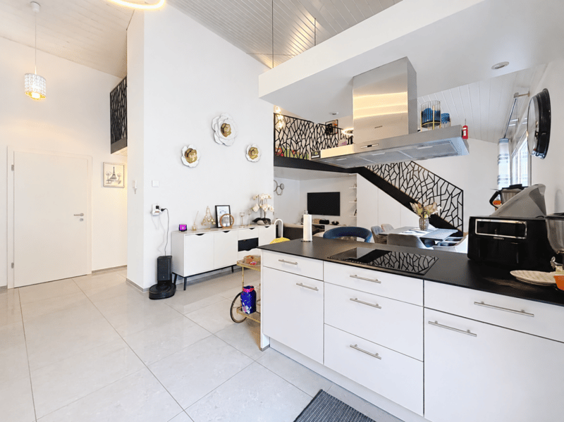 Bel appartement cosy en attique de 3.5 pièces avec Mezzanine et immense terrasse (1)