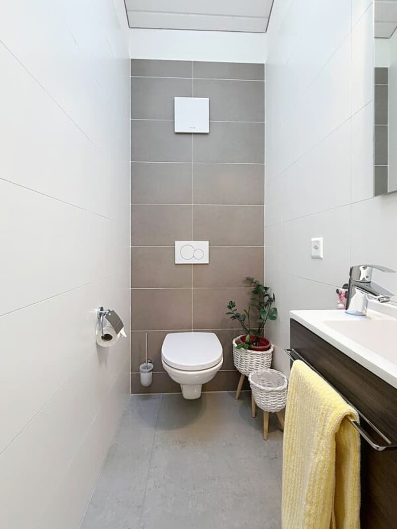 Bel appartement cosy en attique de 3.5 pièces avec Mezzanine et immense terrasse (11)