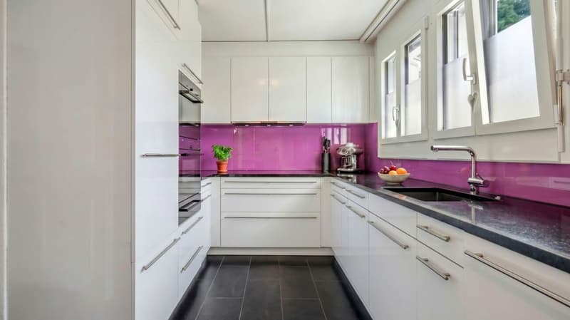 Dachwohnung mit unverbaubarer Aussicht (6)