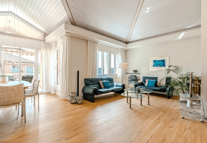 Dachwohnung mit unverbaubarer Weitsicht (4)